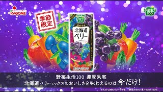 2023年4月25日　野菜生活100 濃厚果実　北海道ベリーミックス