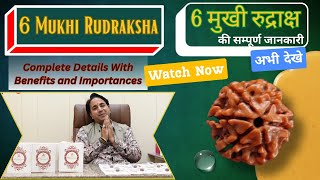 Unveiling 6 Mukhi Rudraksha! Everything You Need to Know! 6 मुखी रुद्राक्ष की सम्पूर्ण जानकारी!