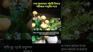 শেষ জামানায় পাঁচটি বিষয়ে পরীক্ষার সম্মুখীন হবে। Amol 24   #গুনাহ #দোয়া #আমল #ইবাদত  #ফজিলত