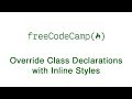 Basic CSS - Override Class Declarations with Inline Styles - freeCodeCamp
