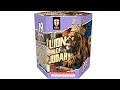 LION OF JUDAH -- 19 shot 200 gram Premium 1.4g Firework Cake from Royal Knight Fireworks.