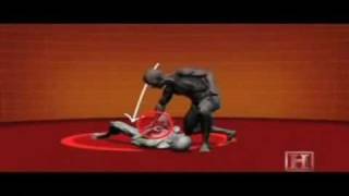 MMA: Silat: Half Python