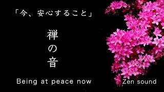 【禅の音】「今、安心すること」【Zen meditation】“Being at peace now”