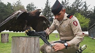 В Мексике военные помогают беркутам