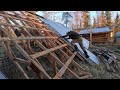 Barn Demo, Moose Liver Paté, & Repurposed Chicken Coop Build