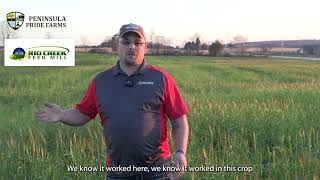 Why Rio Creek Feed Mill supports Peninsula Pride Farms