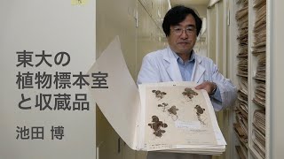 池田博　東大の植物標本室と収蔵品