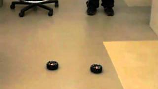 2 Robots Flocking