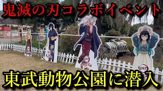 【鬼滅の刃】東武動物公園のコラボイベントに潜入、まさかの推し運大爆発の巻