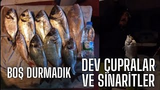 DEV ÇUPRA VE SİNARİT AVI...ALİAĞADA BOŞ DURMADIK...#fishing #balık #teknedeyaşam #teknebalıkçılığı