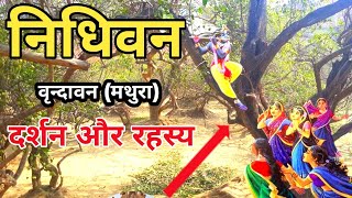 Nidhivan || Nidhivan Rahasya || निधिवन दर्शन वृन्दावन || निधिवन का रहस्य || वृन्दावन का निधिवन