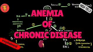 ANEMIA OF CHRONIC DISEASE Pathogenesis Diagnostic markers Treatment
