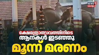 കൊയിലാണ്ടിയിൽ ക്ഷേത്രോത്സവത്തിനിടെ ആനകൾ ഇടഞ്ഞു; മൂന്ന് മരണം | Elephant Attack In Koyilandy Temple