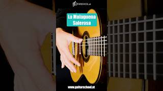 La Malaguena Salerosa - AMAZING Guitar TAB tutorial 🎸