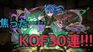 KOF コラボガチャ 30連!! 【パズドラ】