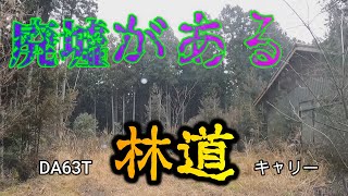 【林道探索】廃墟がある林道