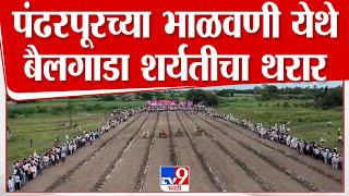 Solapur | पंढरपूरच्या भाळवणी येथे बैलगाडा शर्यतीचा थरार, लाखोंच्या बक्षिसांचा वर्षाव | tv9 marathi