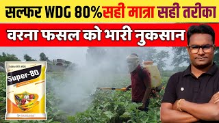 सल्फर WDG 80% का सही उपयोग वरना फसल का सत्यानाश तय है Shocking Benefits of Sulfur WDG 80% for Crops