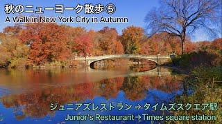 秋のニューヨーク散歩 Autumn walk in New York⑤