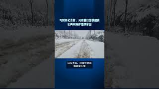 河南雷打雪，局地新增积雪深度可达12~15厘米