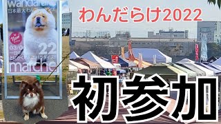 わんだらけwandarake 行ってきました[わんだらけ22][チワワ][イベント]