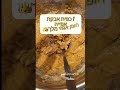 @oframatzovcohen אופה עוגת תפוחים בחושה על פי מתכון מהערוץ שלי🍏🍏🙋🏻‍♀️