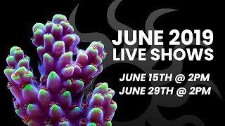 Tidal Gardens June 2019 Live Show #1