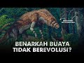 Kenapa Buaya Tidak Berubah Selama Jutaan Tahun? | Evolusi Buaya