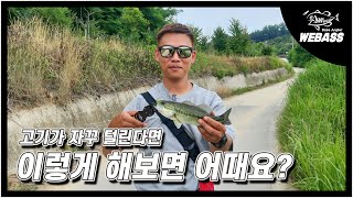 [배스낚시] 별 것 아닌 사소한 차이가 조과를 만듭니다. Ep.165 위배스