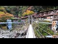 【登山】秘境の渓谷トレッキング 　紅葉の大杉谷～大台ヶ原