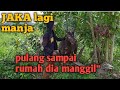 SAMPAI rumah JAKA manggilin karena dia g ngeliat saya