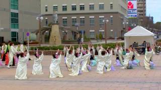 2017年3月11日　浜松がんこ祭り　東街区ロータリー１０（２４　鈴鹿市　飃　～FREEDOM～　鈴鹿音頭）