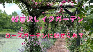 軽井沢レイクガーデン　ローズガーデンに魅せられて　Karuizawa Lake garden Nagano Japan