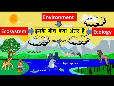 Difference Between Environment And Ecology - YouTube