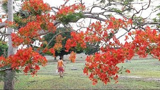 ขุดกุดจี่ ขุดจิหล่อยามเซ้าๆ บรรยากาศดีสุดๆ | ອາກາດຍາມເຊົ້າ ດີໂຄດໆເລີຍ.