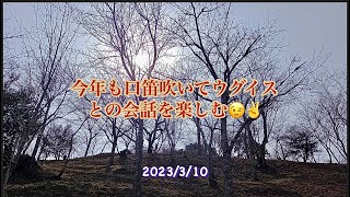 墓参りの前にウグイスと口笛で会話する来年古希👴😅