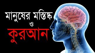 মানুষের মস্তিষ্ক নিয়ে কুরআন ও বিজ্ঞানের অবাক করা তথ্য। || Islamic Content Bangladesh ||