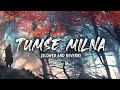 Tumse Milna (Slowed and Reverb) SAR Music's