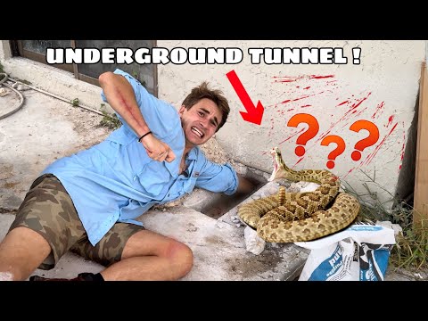 WHAT WAS LIVING UNDER My SISTERS HOUSE ?! WE YOINKED It OUT !
