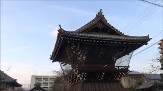 「３月の京都見てある記」 ⑭ 千本釈迦堂・妙蓮寺 ( 3月28日)