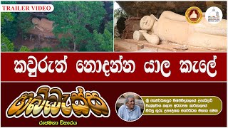 කවුරුත් නොදන්න යාල කැලේ හබ්බැස්ස රාජමහා විහාරය | Kawruth Nodanna Yala Kale Habbassa #Habbassa