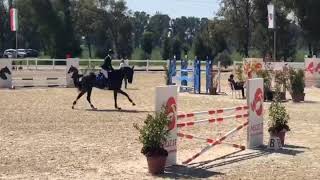 Toulanda degli Assi (2014 Toulon) - 5yr olds Rome