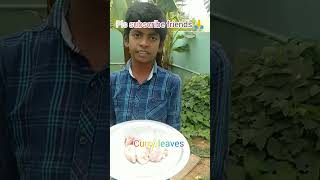 சொப்பு சோரு செய்யலாம் வாங்க😋soppu sooru recipe #90kid's 🙏 subscribe 🙏 pls support me friends 🙏