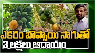 ఎకరం బొప్పాయి సాగుతో 3 లక్షలు ఆదాయం | Farmer Earn Huge Profits With Papaya Farming | 10TV News