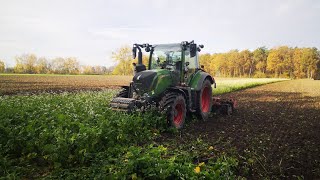 Talerzowanie poplonu || Uszkodzona opona || Mycie maszyn || Przywożenie kiszonki