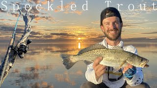 Throwing One Artificial Until It shreds! Will They Keep Eating It? | Mosquito Lagoon Florida