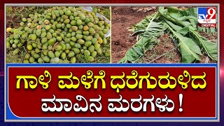 Rain In Gadag: ಗದಗ ಜಿಲ್ಲೆಯಲ್ಲಿ ಗಾಳಿ ಮಳೆಯಿಂದ ಅಪಾರ ಬೆಳೆ ಹಾನಿ | Tv9 Kannada