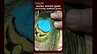 ನವಿಲುಗರಿಯಲ್ಲಿ ಮೂಡಿಬಂದ ಶ್ರೀರಾಮ |  artist paints Lord Ram's image on peacock feathers