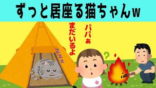 【ほのぼの】キャンプ場の猫ちゃんがずっと居座り続けた結果www