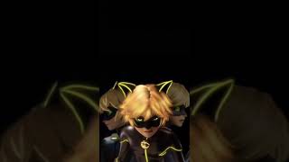 #edit #ladybug #miraculousladybug #wallpaper #miraculous #animation #catnoir #ladynoir #chatnoir